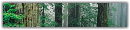 top-nature-070