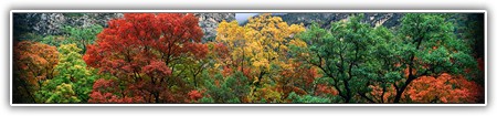 top-nature-071