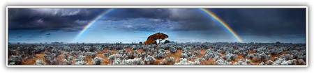 top-nature-077