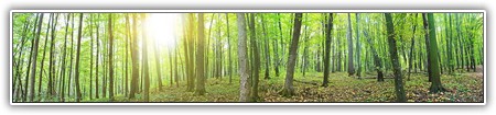 top-nature-079