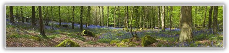 top-nature-082