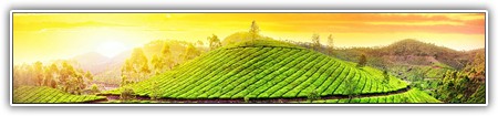 top-nature-085