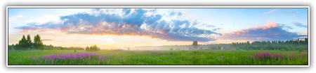 top-nature-088