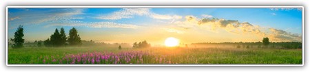 top-nature-089