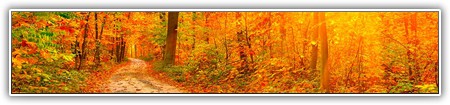 top-nature-093