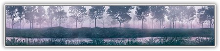 top-nature-095