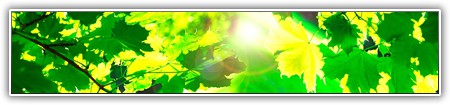 top-nature-096