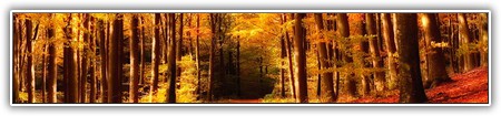 top-nature-097
