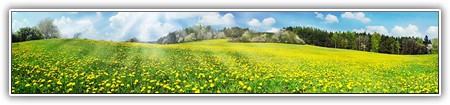 top-nature-098