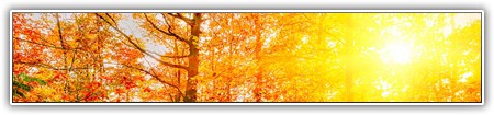 top-nature-101