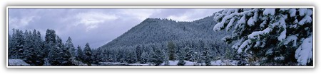 top-nature-106