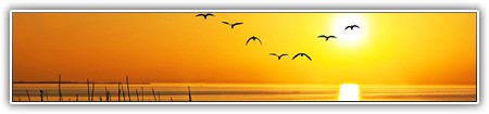 top-nature-107