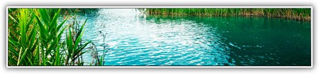 top-nature-139