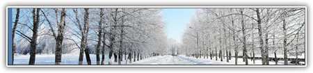 top-nature-145