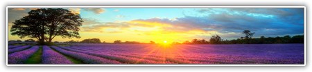 top-nature-149