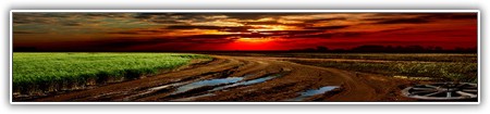 top-nature-157