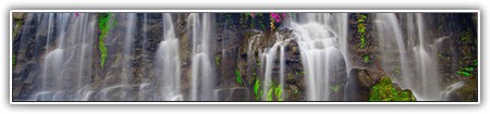 top-nature-162