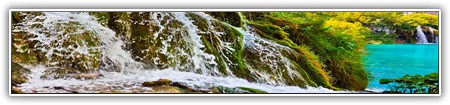 top-nature-175